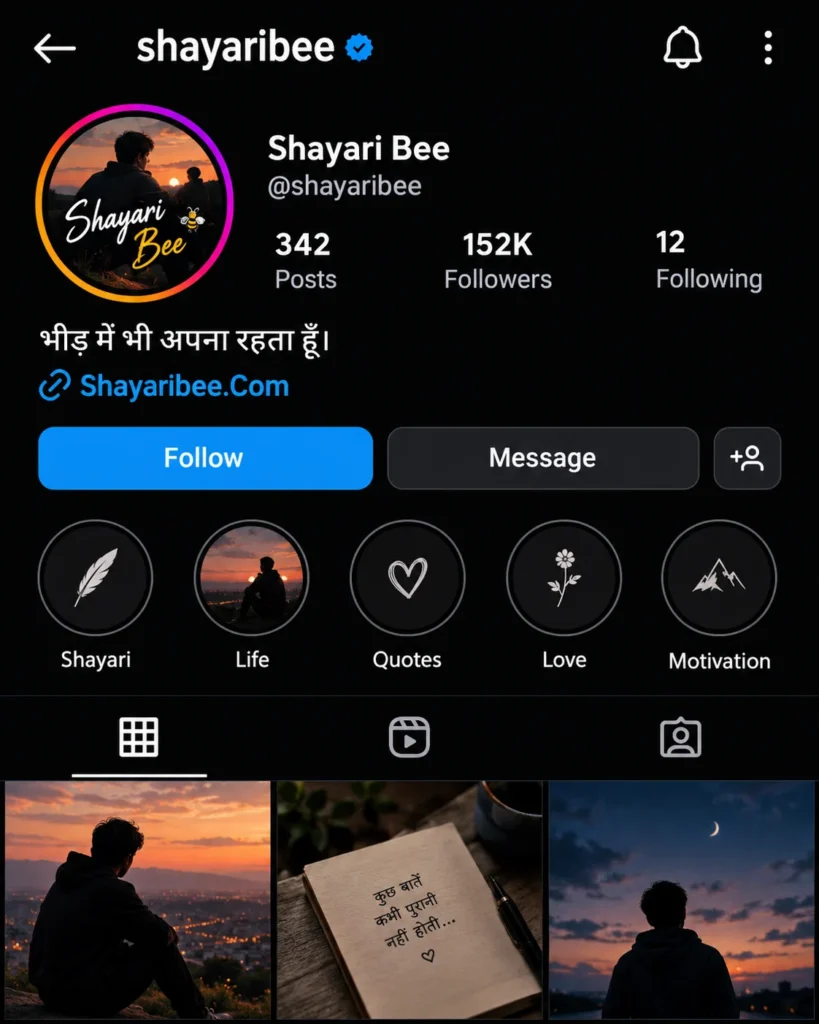 Shayari Bee Instagram profile with Hindi attitude bio